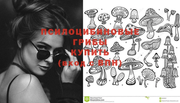 PSILOCYBIN Бородино